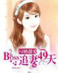 闪婚甜爱:BOSS追妻49天 闪婚甜爱:BOSS追妻49天