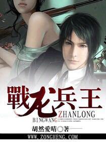 战龙兵王 战龙兵王
